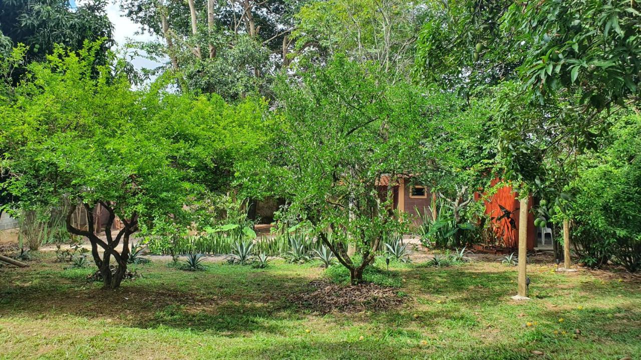 Free Soul House - Localizacao Ideal No Centrinho Alto Paraíso de Goiás 外观 照片