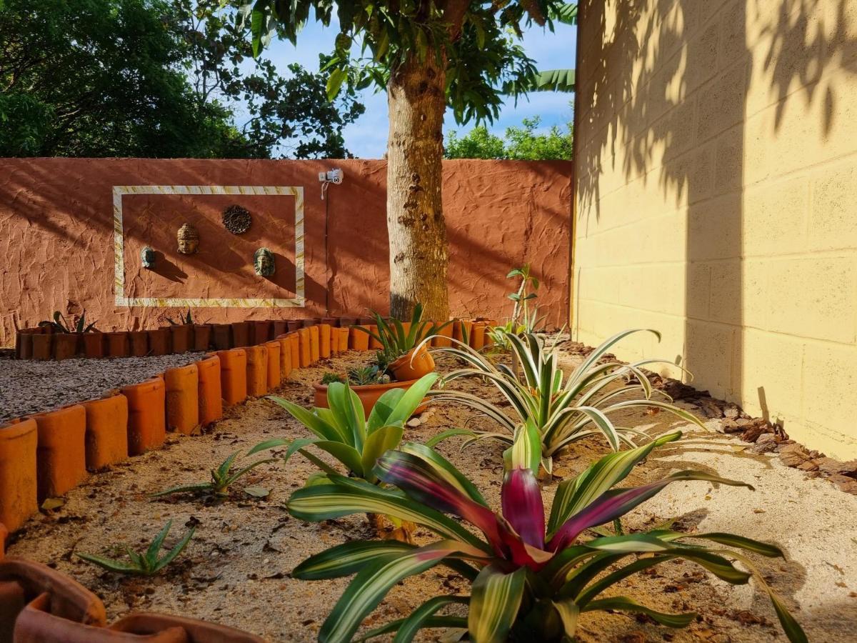 Free Soul House - Localizacao Ideal No Centrinho Alto Paraíso de Goiás 外观 照片